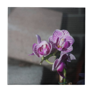 Carreau En Céramique Orchidée violette