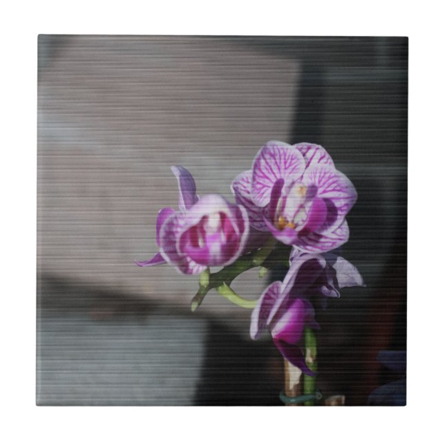 Carreau En Céramique Orchidée violette (Devant)