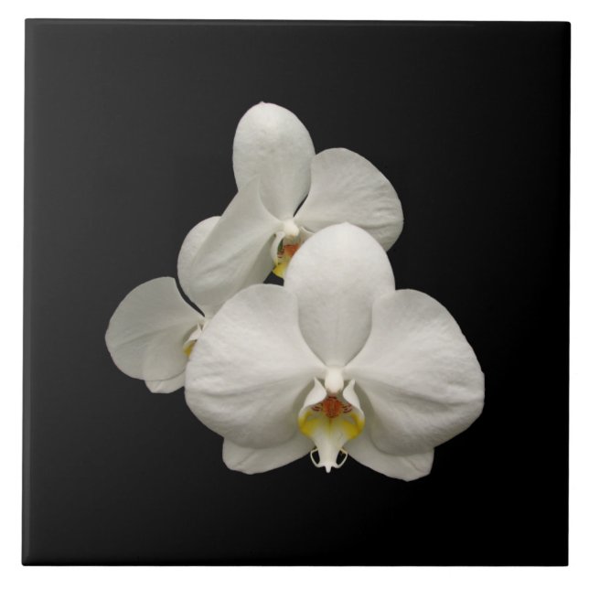 Carreau En Céramique Orchidées blanches (Devant)