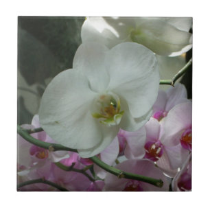 Carreau En Céramique Orchidées blanches et violettes