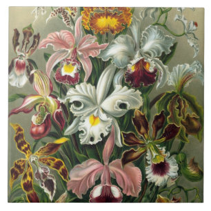 Carreau En Céramique Orchidées d'art - Formes d'art de la nature