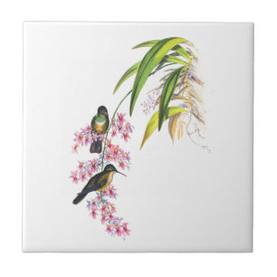 Carreau En Céramique Orchidées et colibris roses de John Gould