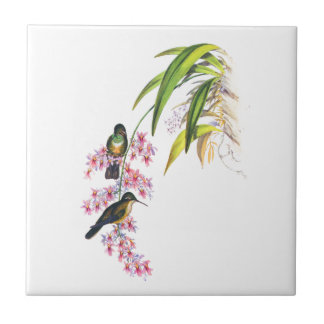 Carreau En Céramique Orchidées roses et colibris de John Gould