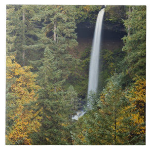 Carreau En Céramique Oregon, parc d'État de Silver Falls, North Falls