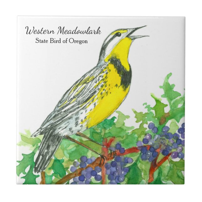 Carreau En Céramique Oregon Souvenir Meadowlark Botanique (Devant)