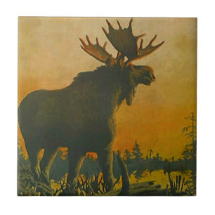 Carreau En Céramique Orignaux de faune dans la tuile d'âne de marais d