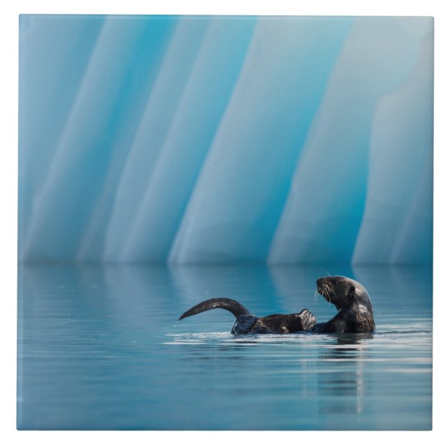 Carreau En Céramique Otter de mer joueuse (Devant)