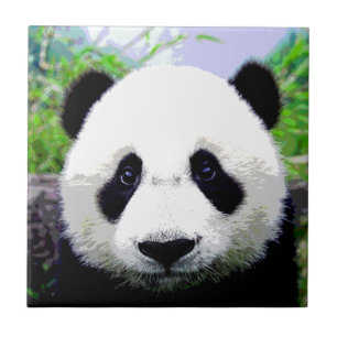 Carreau En Céramique Ours Panda