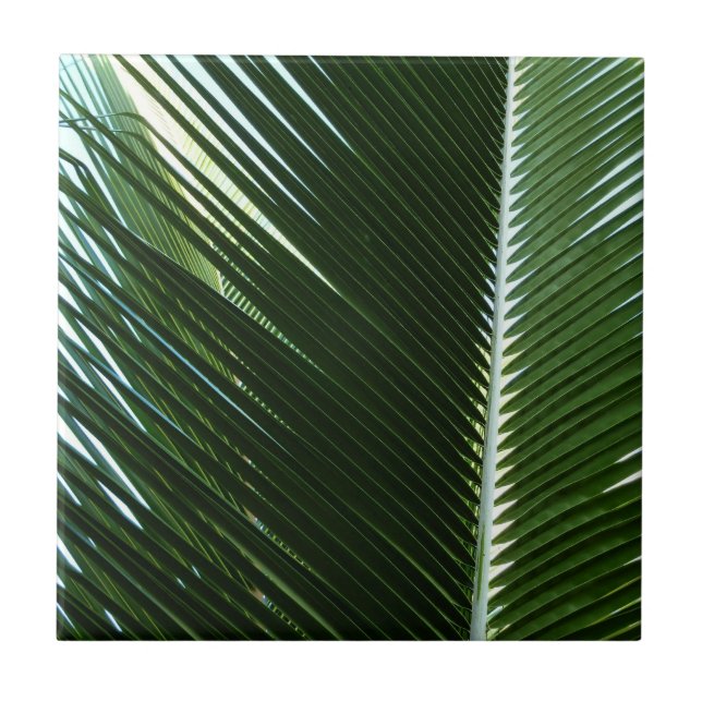Carreau En Céramique Overlapping Palm Fronds Tropical Green Abstract (Devant)