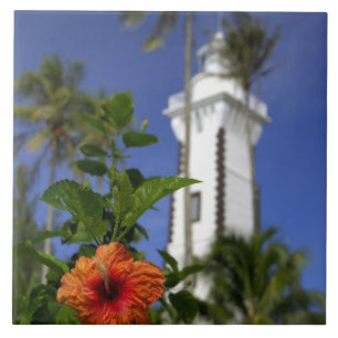 Carreau En Céramique Pacifique Sud, Polynésie française, Tahiti.Hibis