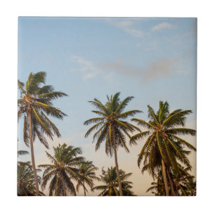 Carreau En Céramique Palmiers de vacances tropicaux