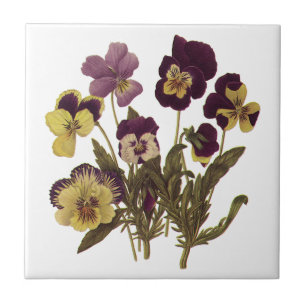 Carreau En Céramique Pansies vintages en Fleur, Fleurs de Jardin Floral