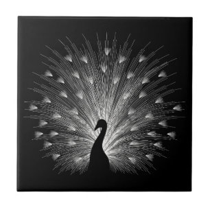 Carreau En Céramique Paon blanc