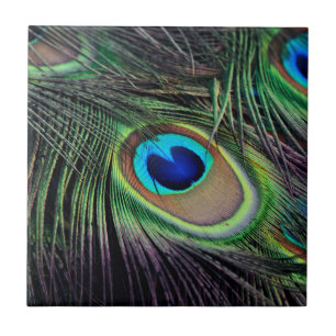 Carreau En Céramique Paon d'oiseau de paon