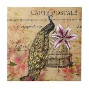 Carreau En Céramique paon tropical de cru de cage à oiseaux de fleur d