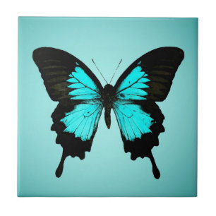 Carreau En Céramique Papillon - bleu et noir de turquoise