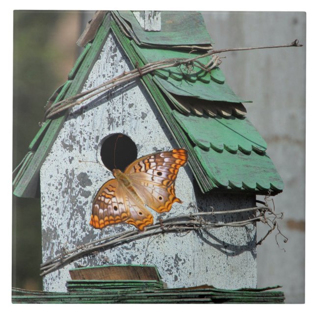 Carreau En Céramique Papillon dans la tuile d'oiseaux (Devant)