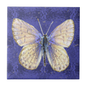 Carreau En Céramique Papillon de bleu du New Hampshire Karner