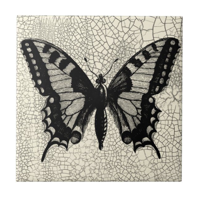 Carreau En Céramique Papillon noir et blanc sur Arrière - plan fissuré (Devant)