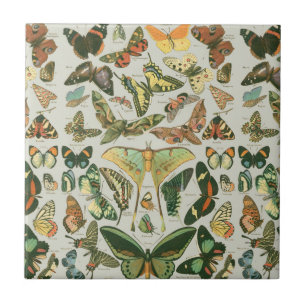 Carreau En Céramique Papillons Vintages papillons d'antiquités Art