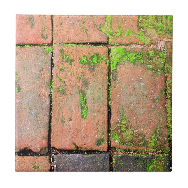 Carreau En Céramique Passage couvert de briques (Devant)