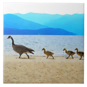 Carreau En Céramique Patrol Canada Oies