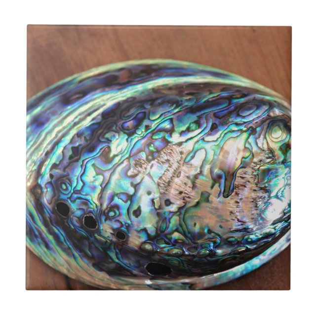 Carreau En Céramique Paua abalone détail de coquillages bleu et vert (Devant)