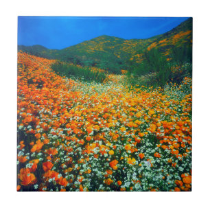 Carreau En Céramique Pavots de Californie et fleurs sauvages Popcorn