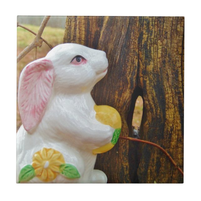 Carreau En Céramique Pays Lapin de Pâques (Devant)