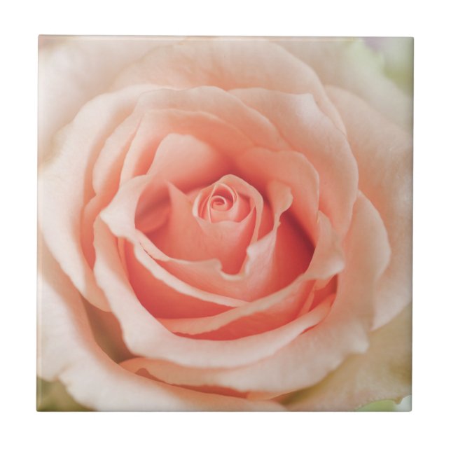 Carreau En Céramique Peach rose Arrière - plan Modèle Customisé (Devant)