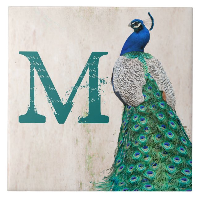 Carreau En Céramique Peacock Bird Feather Turquoise Monogramme Display  (Devant)