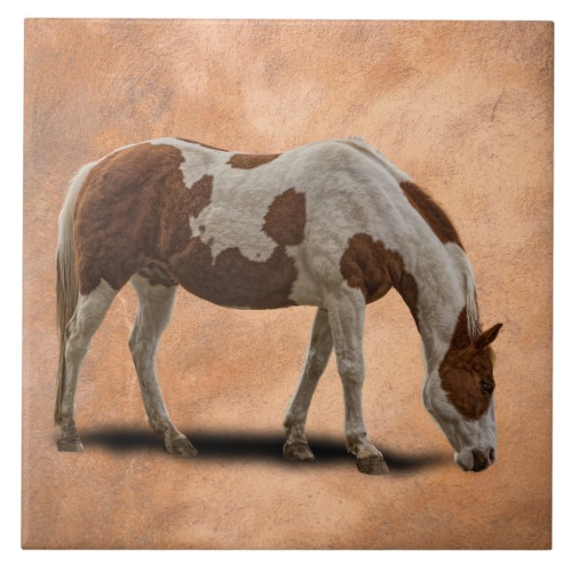 CARREAU EN CÉRAMIQUE PEIGNEZ LE CHEVAL (Devant)