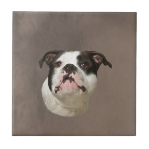 Carreau En Céramique Peinture couleur d'eau Bulldog