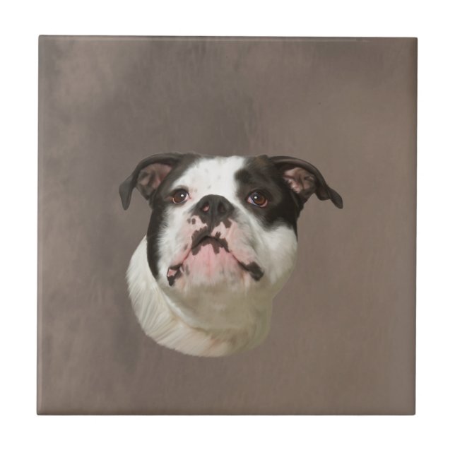 Carreau En Céramique Peinture couleur d'eau Bulldog (Devant)