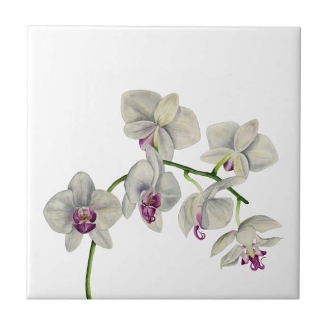 Carreau En Céramique Peinture d'aquarelle d'orchidée (Devant)