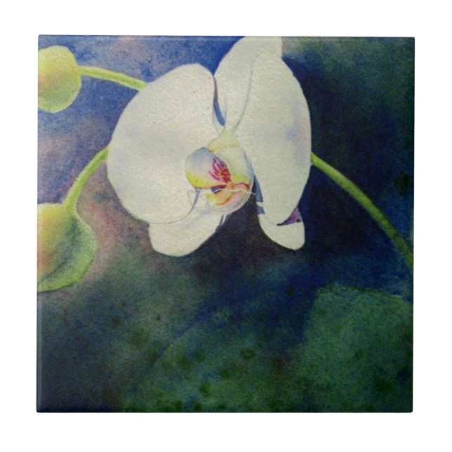 Carreau En Céramique Peinture d'aquarelle d'orchidée hawaïenne blanche (Devant)