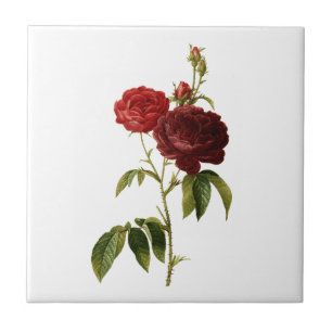 Carreau En Céramique Peinture de roses vintages rouge profond