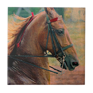 Carreau En Céramique Peinture des Faux selles