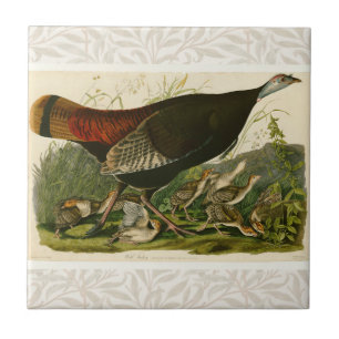 Carreau En Céramique Peinture d'oiseaux sauvages de Turquie Audubon