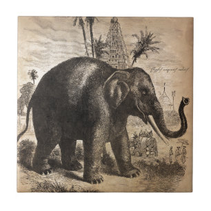 Carreau En Céramique Peinture murale vintage d'éléphant