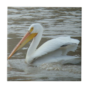 Carreau En Céramique Pélican blanc B14 sur une rivière boueuse