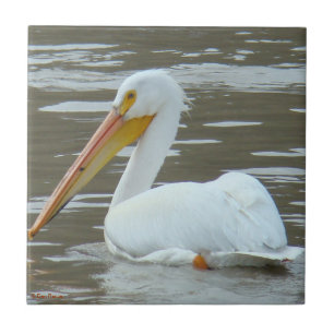 Carreau En Céramique Pélican blanc B15 sur eau boueuse