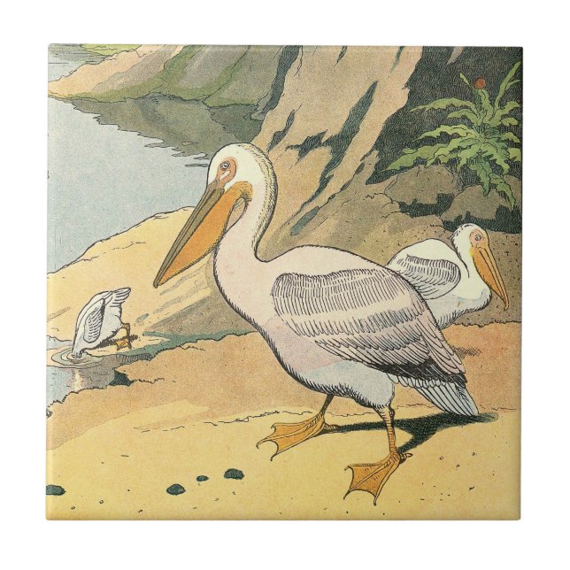 Carreau En Céramique Pélican sur la plage (Devant)