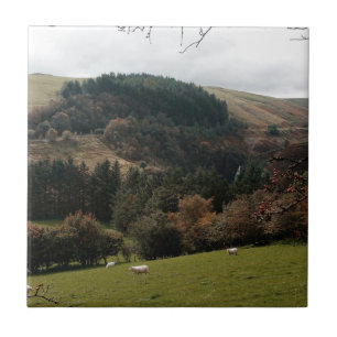 Carreau En Céramique Pennant Valley Wales