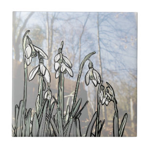Carreau En Céramique Perce-neiges