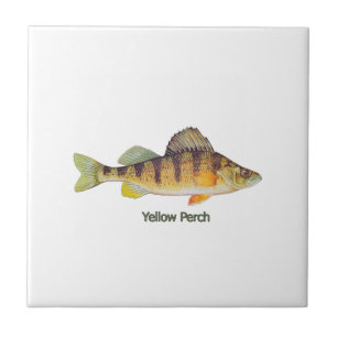 Carreau En Céramique Perche jaune intitulée