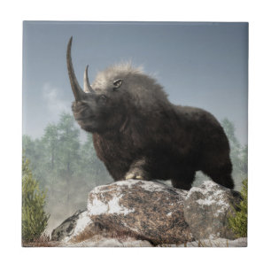 Carreau En Céramique Période glaciaire dure