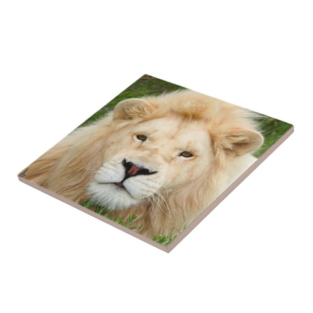 Carreau En Céramique Perle blonde (Côté)