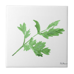 Carreau En Céramique Persil aquarelle herbes vert botanique plantes