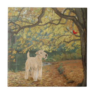 Carreau En Céramique Personnaliser